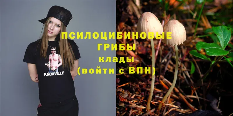 Псилоцибиновые грибы Magic Shrooms  ОМГ ОМГ ссылка  Сатка 